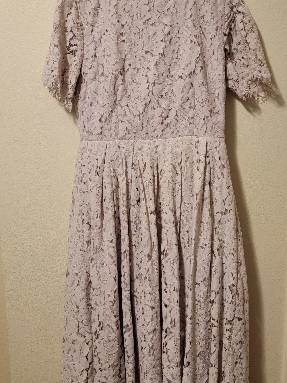 Rachel Parcell Lace Fit And Flare Dress